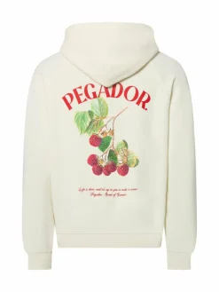 PEGADOR Sweatshirts & Sweatjacken*Damen Kapuzenpullover - Malli ecru bedruckt