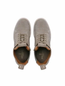 Crickit Boots & Stiefeletten*Damen Stiefelette - PRUDENZIA taupe bedruckt